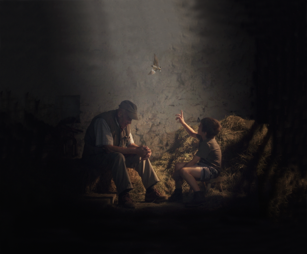 Sébastien Pins : Marchin Film Hirondelles